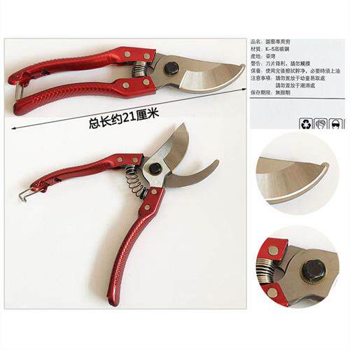 园艺用具 修剪花木 果树 花卉 修枝剪刀 园艺工具 花剪