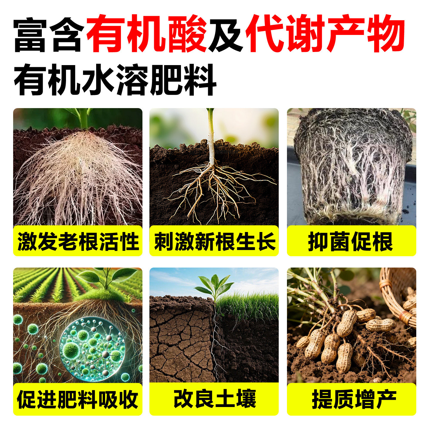 老牌荷皇有机水溶肥促吸收生根