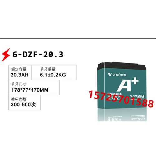 天能蓄电池6-DZF-20.3电动车