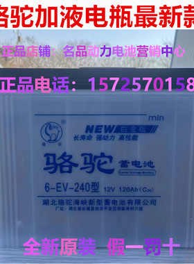骆驼蓄电池6-EV-240型电动拉货三轮车环卫车洗地机12V120AH水电瓶