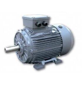 供应ELECTRAMO系列电机