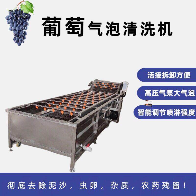 自动酿酒葡萄清洗机设备清洗水果瓜果机器速冻夏黑葡萄加工设备
