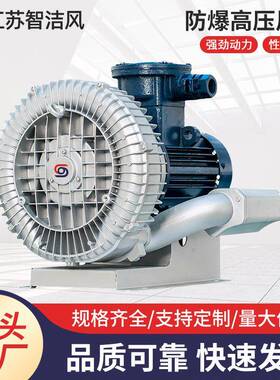 防爆高压鼓风机防爆等级DIIBT4/DIICT4工业高压漩涡气泵现货