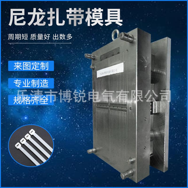 博锐电气专业制造扎带模具尼龙扎带模具注塑模具加工精密塑胶制品