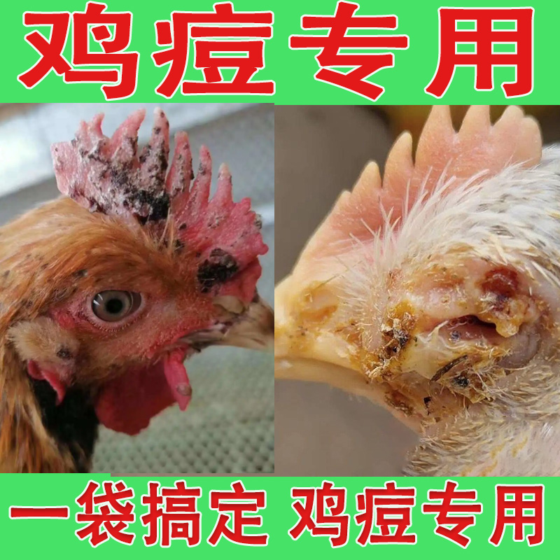 鸡痘专用鸡痘病药专用鸡冠长痘鸡鸭痘毒克鸡痘克星家禽鸡用