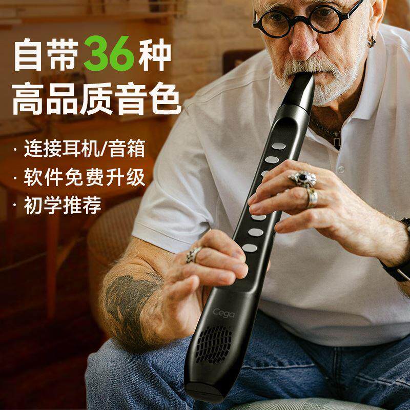 前谷电吹管乐器送爸妈老年人演奏萨克斯电子长笛节日礼物乐器