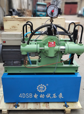 4DSB(Y)-4.0电动高压打压泵 智能压力自控电动试压泵现货