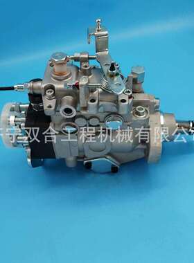 发动机燃油泵22100-1C190196000-2641VE6/10F1900RND264柴油泵