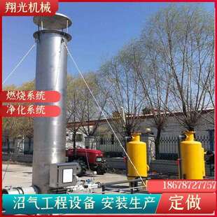 50立方沼气内燃火炬封闭式火炬自动点火沼气净化系统