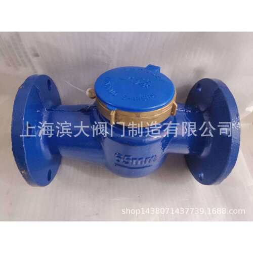 上海滨大阀门牌冷水表旋翼式水表LXSDN50-DN200