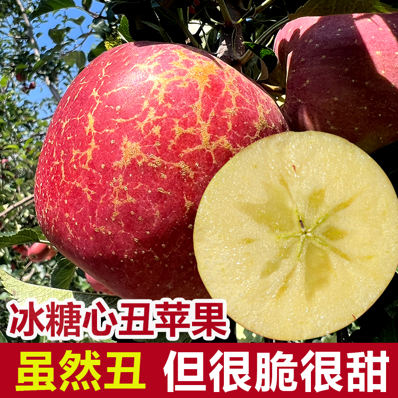 云南昭通市现摘丑苹果水果新鲜整箱当季富士糖心苹果绍通特大果