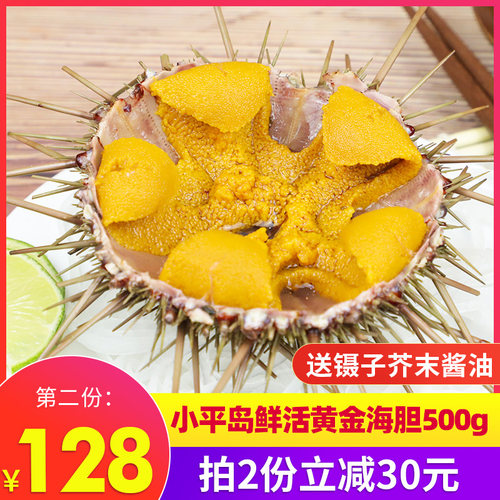 马粪海胆大连鲜活海胆活鲜