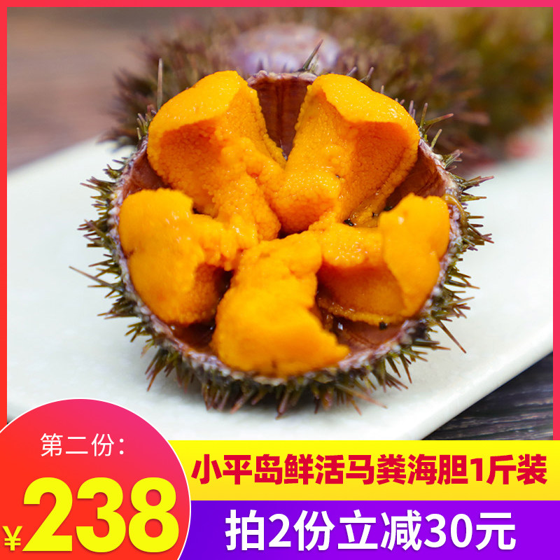 大连马粪海胆小平岛鲜活500g即食食材料海胆刺身新鲜生鲜海鲜活鲜