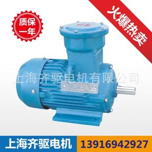 上海生产CT4YB3防爆电机750转18.5w 8极三相异步电动机