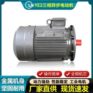 30三相交流电机铸铁全铜线电机 三相异步电动机厂家YE2 225M