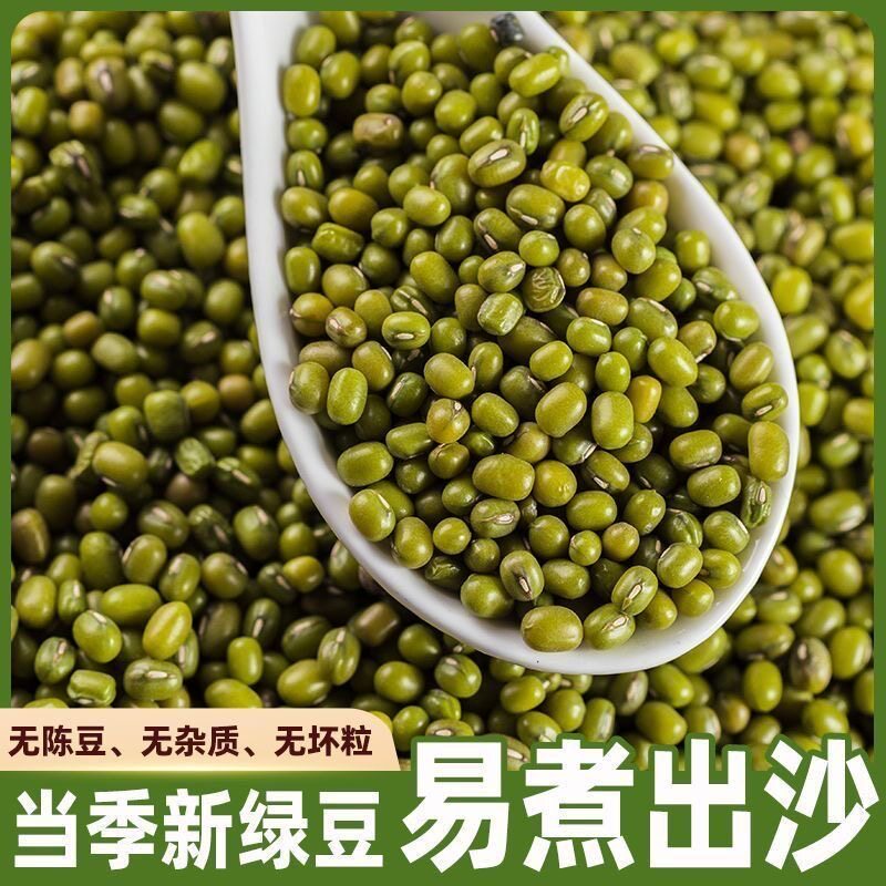 东北薄皮绿豆易出沙农家新货绿豆五谷杂粮出沙新鲜豆芽解暑小绿豆