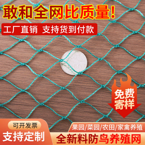 防鸟网养鸡尼龙网养殖天网大棚尼龙线鱼塘果园防鸟网果树防鸟用网