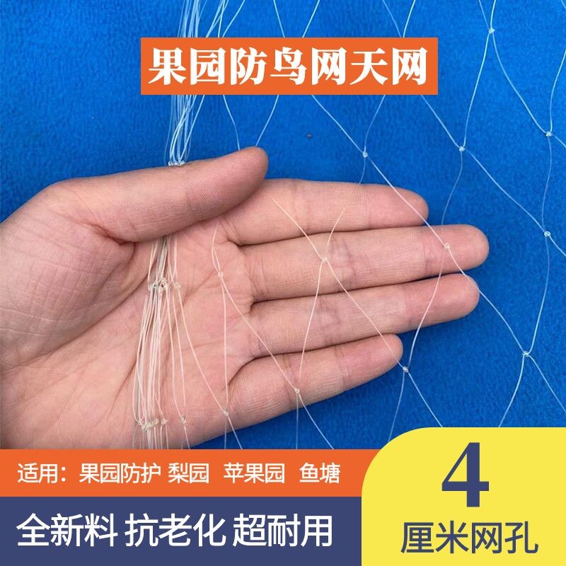 鱼塘防鸟网天4公分5厘米孔