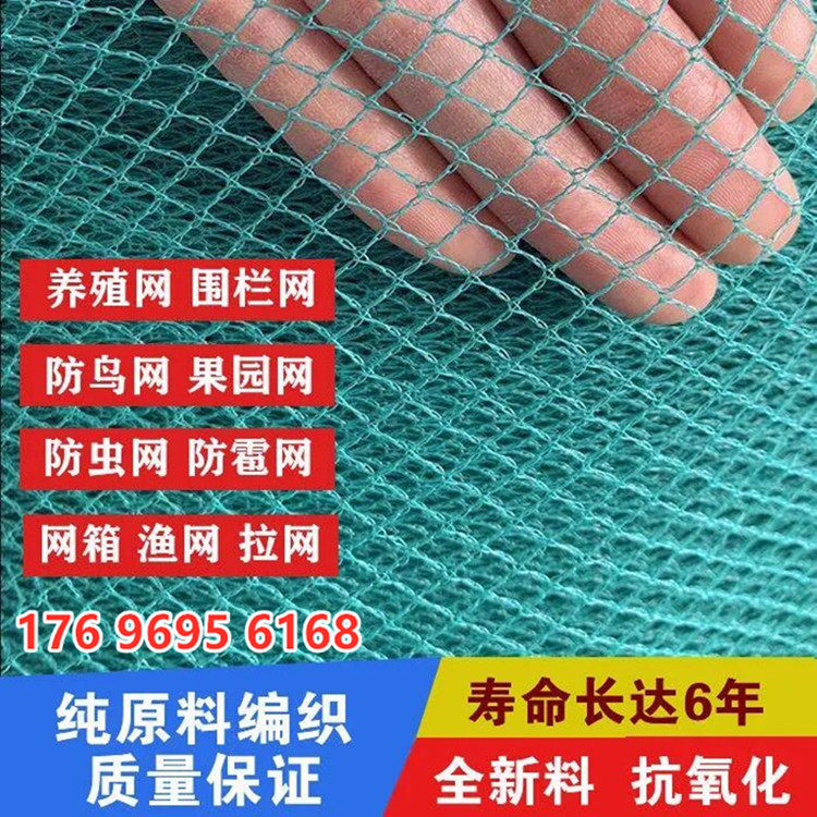 防鸟网果园树用的葡萄樱桃
