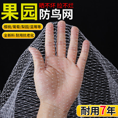 尼龙防鸟网果园果树新料加粗耐用