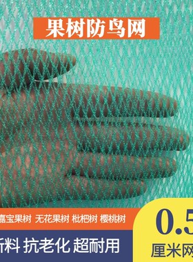防鸟网果园树用的葡萄樱桃罩
