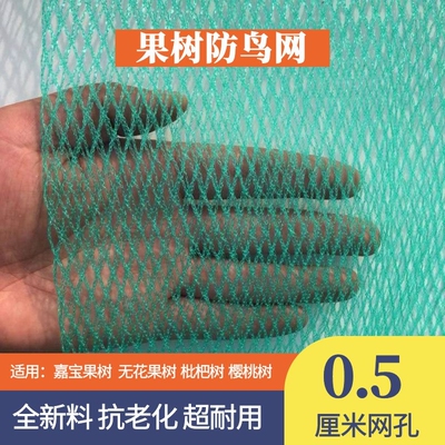 防鸟网果园树用的葡萄樱桃罩