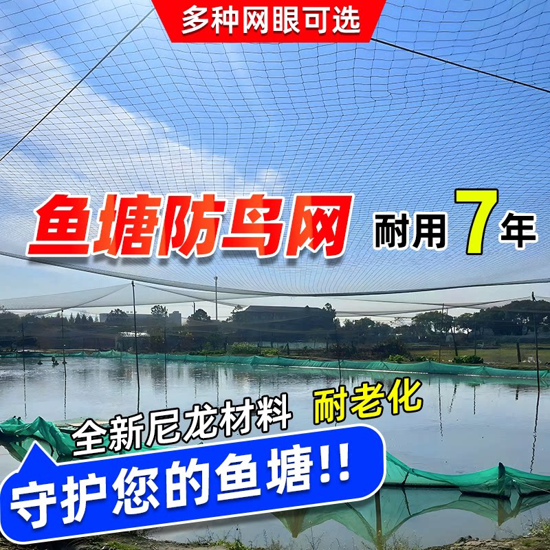 防大型鸟网鱼塘防鸟网养殖网农田青蛙泥鳅养殖场果园天网防鸟天网