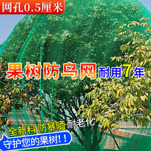 防鸟网果树罩樱桃葡萄网嘉宝果树防鸟用网尼龙丝网纱网防护罩蔬菜