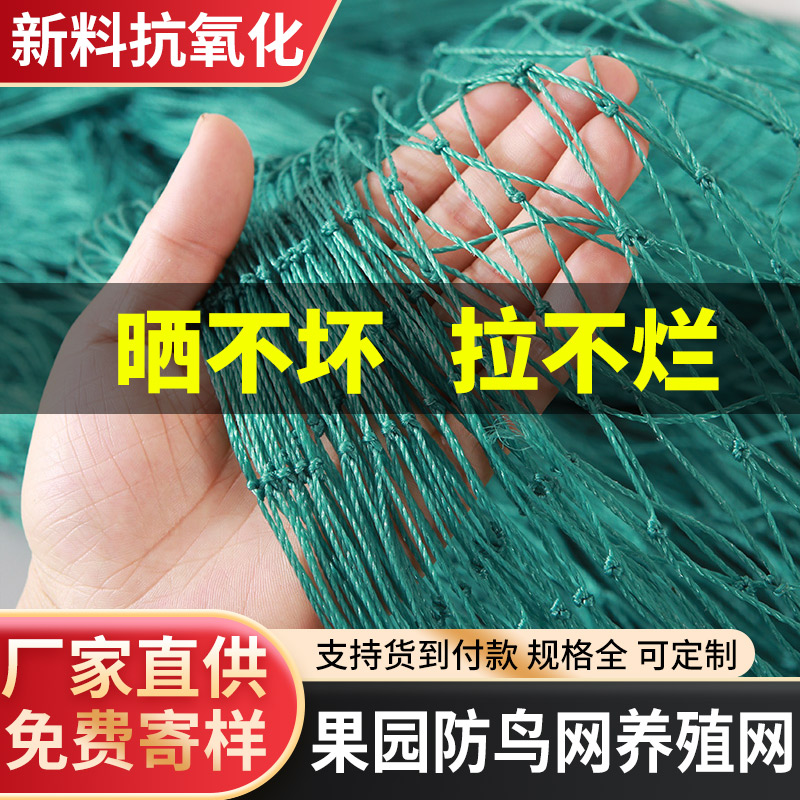 大棚尼龙线防鸟网养鸡尼龙网养殖天网鱼塘果园防鸟网果树防鸟用网