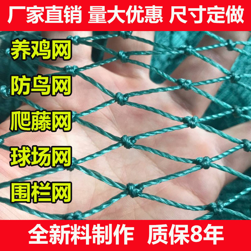 家禽养殖网山鸡网养鸡网尼龙网拦鸡围网防鸟网护栏网菜园网爬藤网