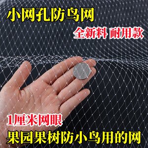 果树防鸟网果园樱桃葡萄嘉宝果蔬菜防小鸟专用网防鸟罩天网尼龙网
