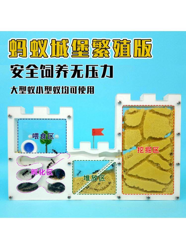 科学试验教具蚂蚁双城堡蚂蚁生态箱工坊蚁巢王国屋沙土窝蚁后沙巢