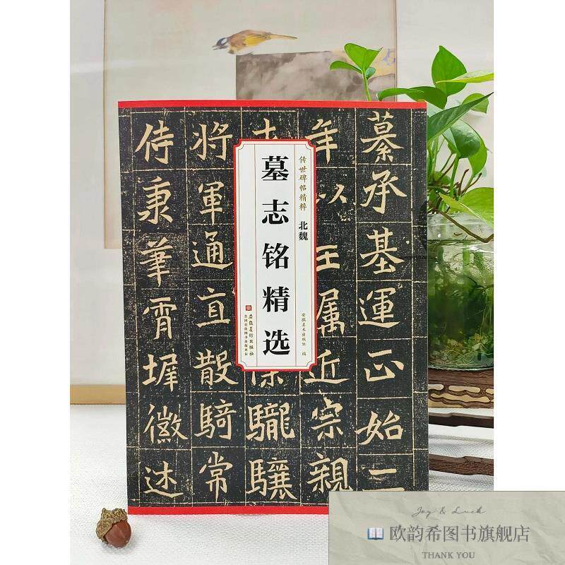 全新正版北魏 墓志铭精选 安徽美术出版社 编新华文轩网络书店 正