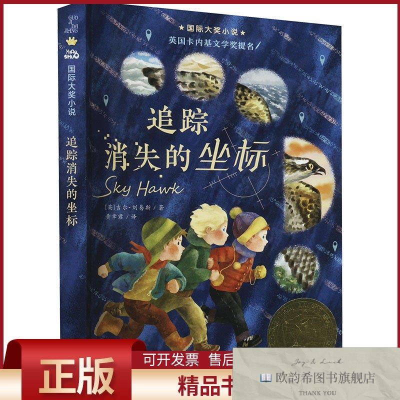 全新正版追踪消失的坐标(英)吉尔·刘易斯著黄聿君译新蕾出版社
