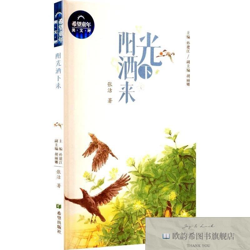 全新正版阳光洒下来 张洁 著新华文轩网络书店 正版图书张洁著希