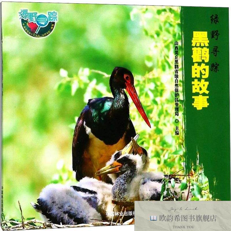 全新正版黑鹳的故事李国和；苏化龙；马鸣；山西灵丘黑鹳省级自然