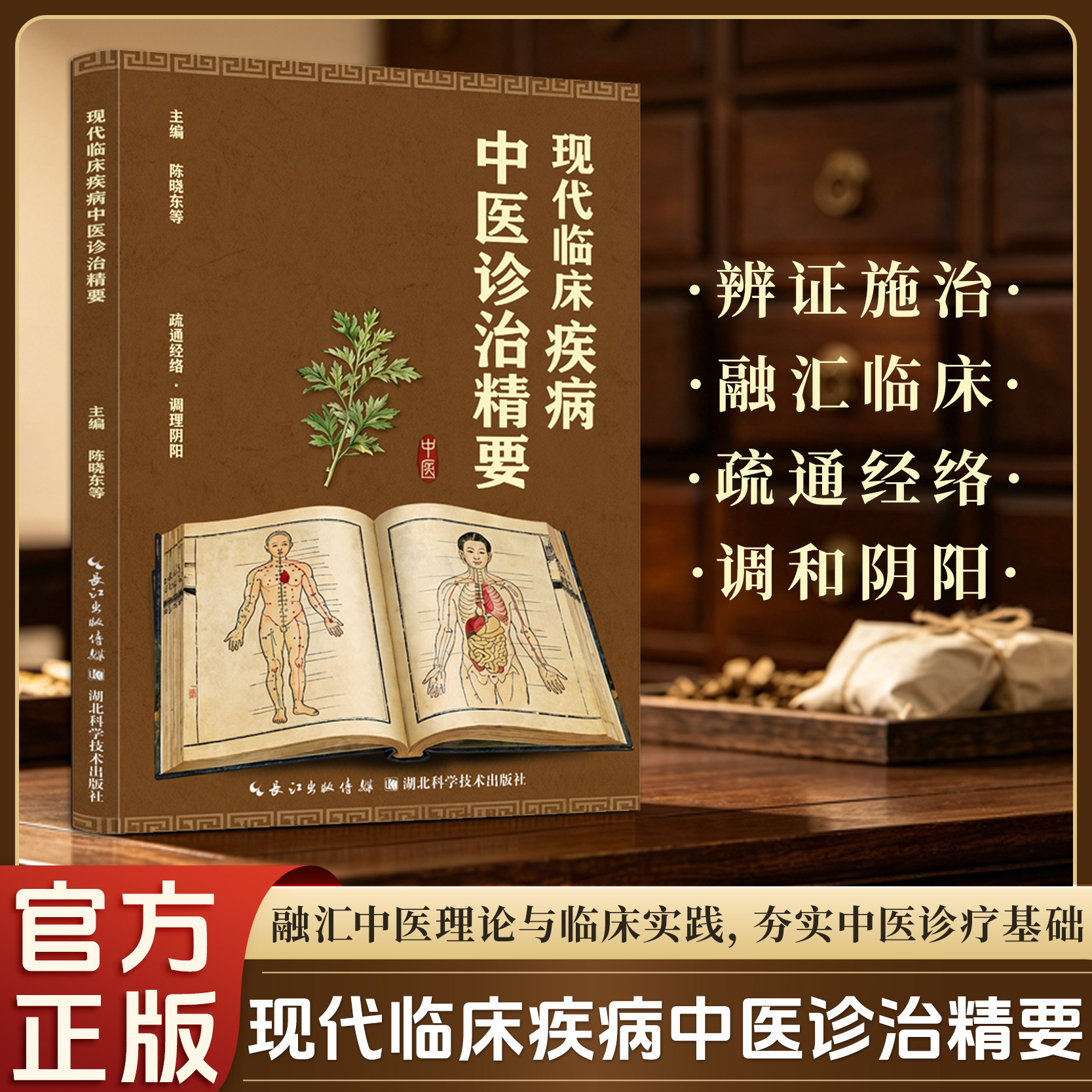 现代临床疾病中医诊治精要 中医辨证论治方药参考 常见病慢性病经络调理中医临床书籍