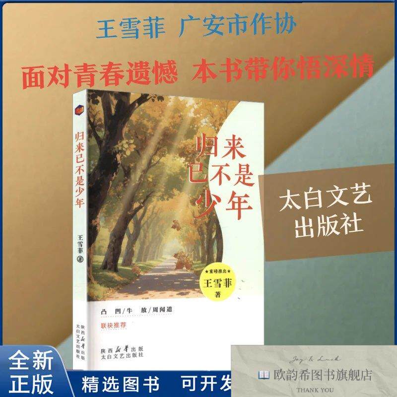 全新正版归来已不是少年王雪菲 著 著9787551330985太白文艺出版