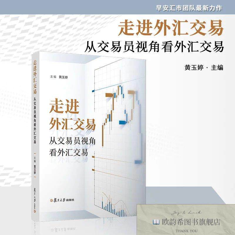 全新正版走进外汇交易:从交易员视角看外汇交易黄玉婷主编复旦大