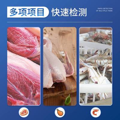 病害肉快速检测仪猪牛羊畜肉水产品变质肉类综合挥发性盐基氮设备