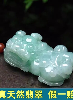 新款天然缅甸翡翠霸王貔貅皮丘吊坠挂件,男女款项链毛衣链