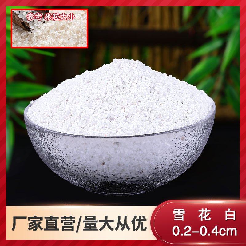 50斤装天然白石子园艺盆栽石头多肉铺面郁金香庭院造景,家居饰品,仿真植物盆景,淘宝优惠券,粉丝福利购,淘宝优惠卷