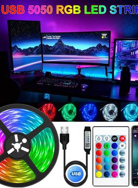 Strip Light USB Bluetooth RGB 5V LED RGBRGBIC Lights跨境香港