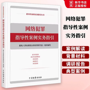 正版网络犯罪指导性案例实务指引 中国检察 最高人民检察院法 网络犯罪典型案例刑事政策 网络诈骗案件办理 网络安全治理法律政策