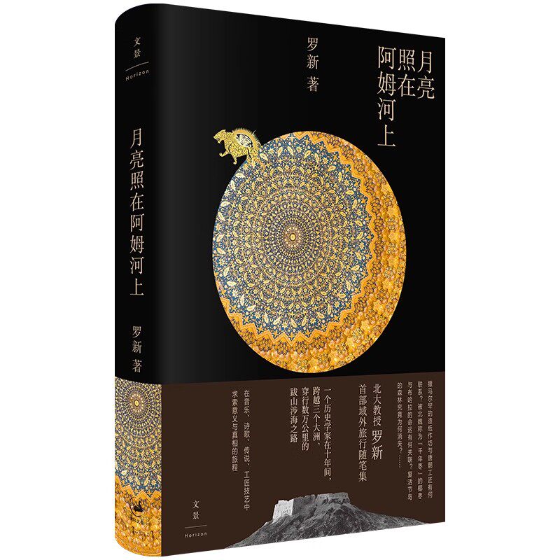 正版月亮照在阿姆河上 罗新 上海人民出版社 另著黑毡上的北魏皇帝 漫长的余生 从大都到上都等书籍