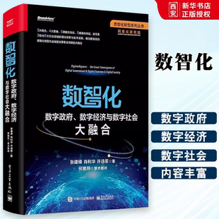 数智化转型 数字经济与数字社会大融合 电子工业出 产业互联网书籍 数智化理论实践数智化技术方法特征指引 数智化 正版 数字政府