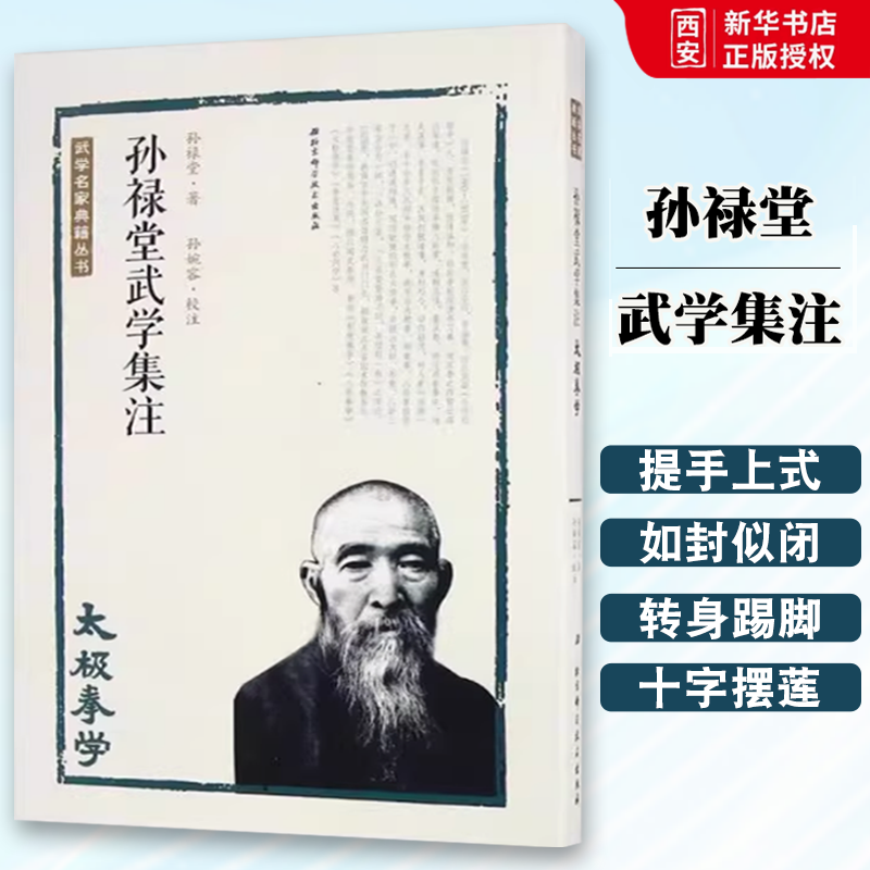 正版孙禄堂武学集注 太极拳学 孙禄堂 北京科学技术出版社 武学名家典籍丛书