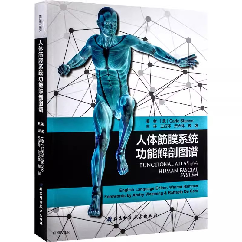 正版人体筋膜系统功能解剖图谱 王行环 北京科学技术出版社 意大利引进中文简体版 筋膜健身书