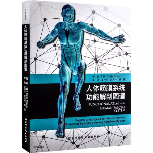 正版人体筋膜系统功能解剖图谱 王行环 北京科学技术出版社 意大利引进中文简体版 筋膜健身书