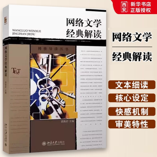正版网络文学经典解读 邵燕君 北京大学出版社 文化研究视野方法 时代精神风向标 探讨网络文学 教程教材书籍